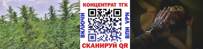 купить наркотики сайты  ссылка на мегу рабочий сайт  Дистиллят ТГК гашишное масло  Меленки 