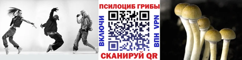 Псилоцибиновые грибы MAGIC MUSHROOMS  Меленки 
